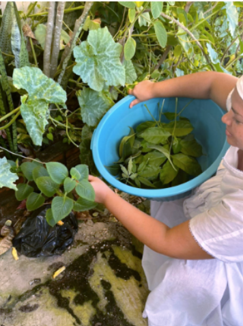 Bem-vindes ao Ilé Asé Oyá Iná Omi!